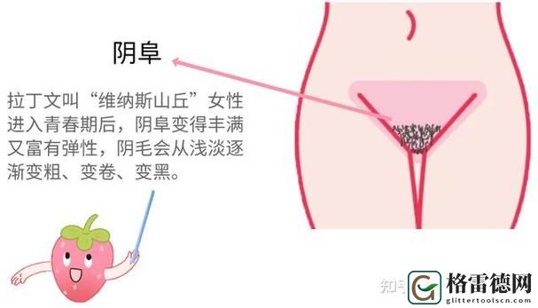 大荫蒂bbbbbb大荫蒂