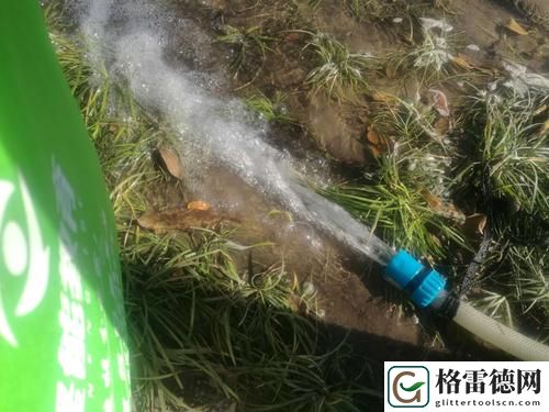 被系统浇灌的日常