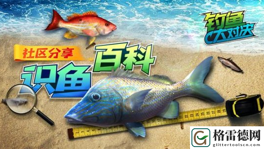 甩竿识鱼两不误《钓鱼大对决》带你深入认识鲨鱼