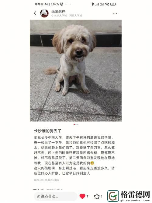  人狗胶配方大全狗狗播放：打造健康活力的毛孩食谱