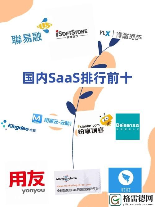 探讨国内有哪些永久免费SaaS：企业数字化转型的新选择