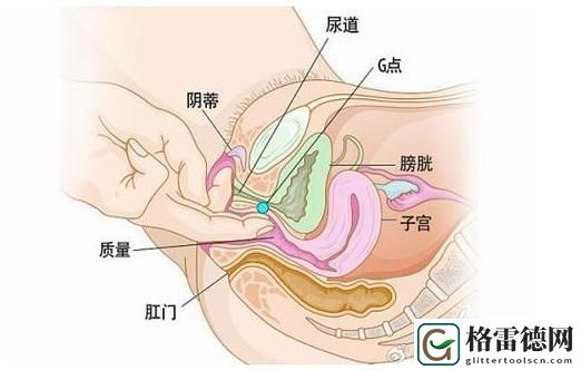 大荫蒂BBBBBB大荫蒂，读者：掌握内心的平静