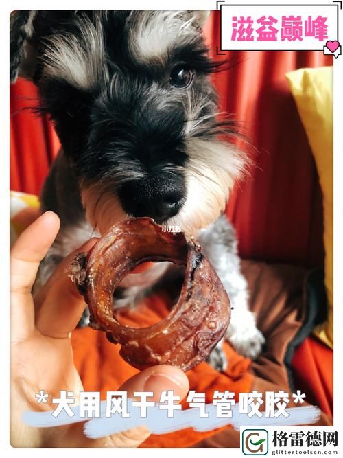 美国人与动物胶配方有几种最新动态，用户热议：多样配方引发消费者关注