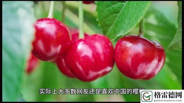 樱桃视频免费观看视频大全稳居榜首，网友：这个平台太好用了！