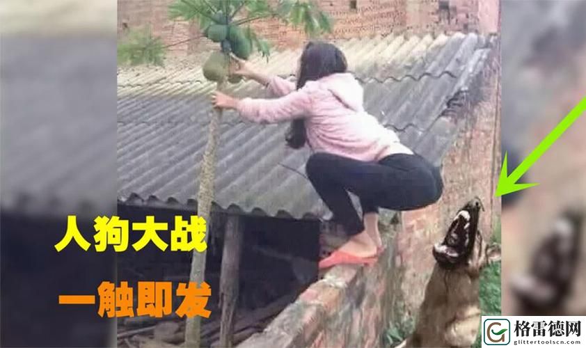 人狗大战2高清正版免费，网友：这场战斗真是超乎想象的精彩！
