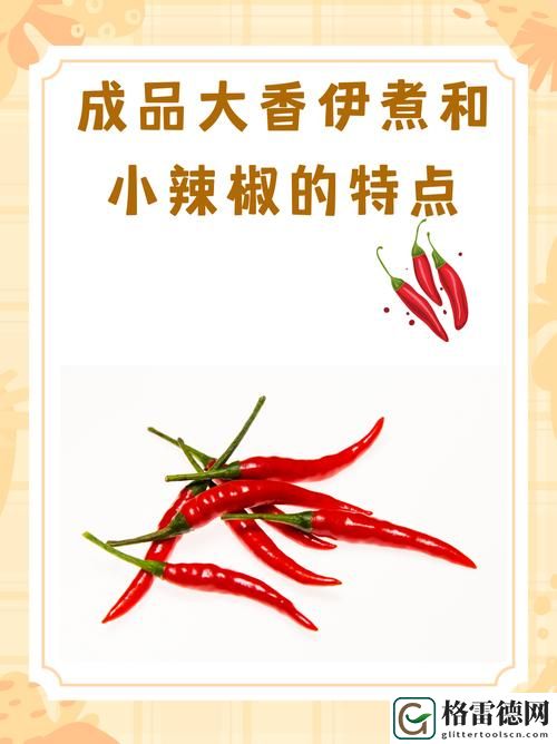  深入解析：成品大香伊煮和小辣椒的区别