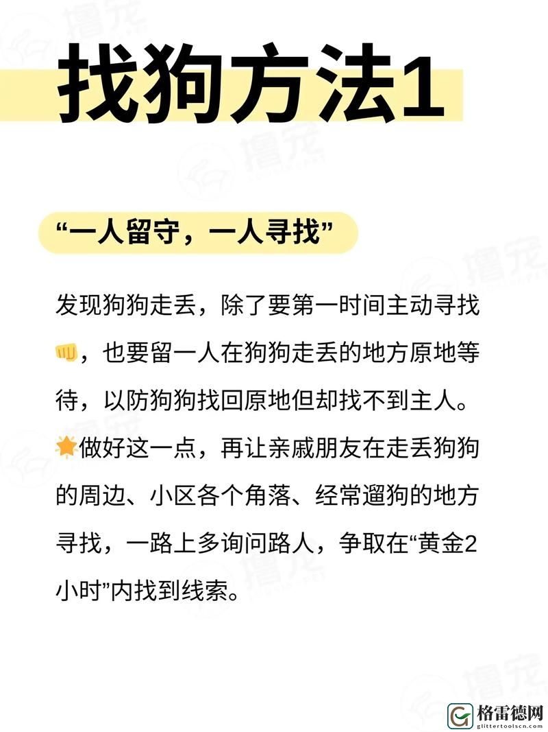 面对突发情况：“不小心跟狗连在一起了怎么办”