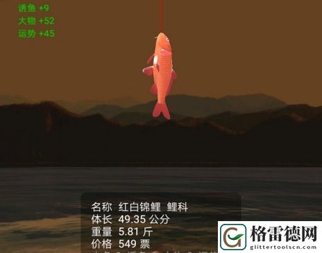 最强钓鱼人增强版怎么钓锦鲤？锦鲤位置分布上鱼技巧