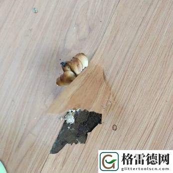  探索疑惑：洞被弄大了过几天能变小吗？
