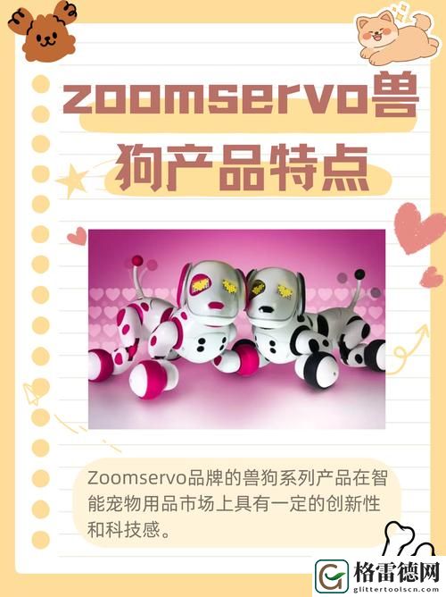  ZOOMSERVO兽狗产品系列：为爱犬提供最优质的智能服务