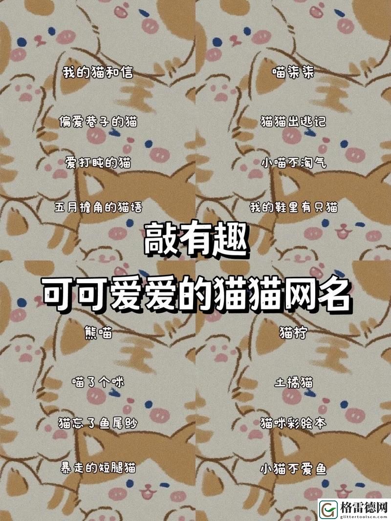 探寻“猫咪最新永久地域网名”的创意与灵感
