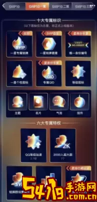 放置与召唤sVIP等级 攻略教你提升意识