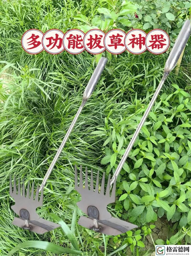 全面解析17c.c-起草工具的高效应用