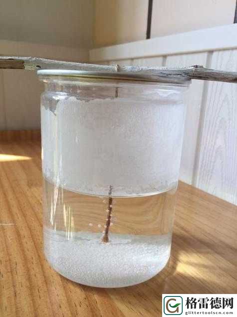 小烧货几天没扣都是水，如何有效管理时间与效率？