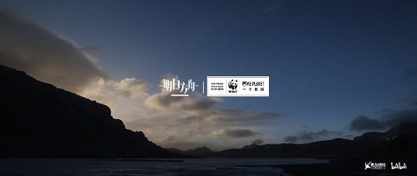 明日方舟万物共生活动即将开启 WWF联动活动详情