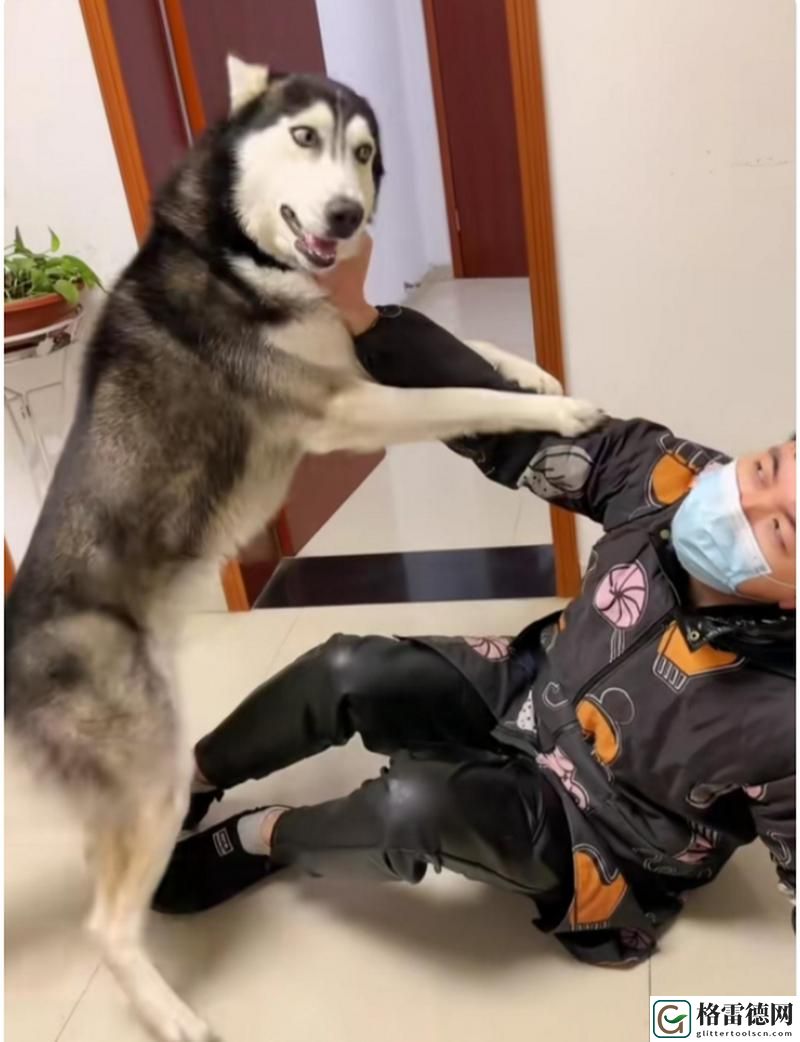 人狗大战2高清正版免费更新了，平台：全新体验等你来战！
