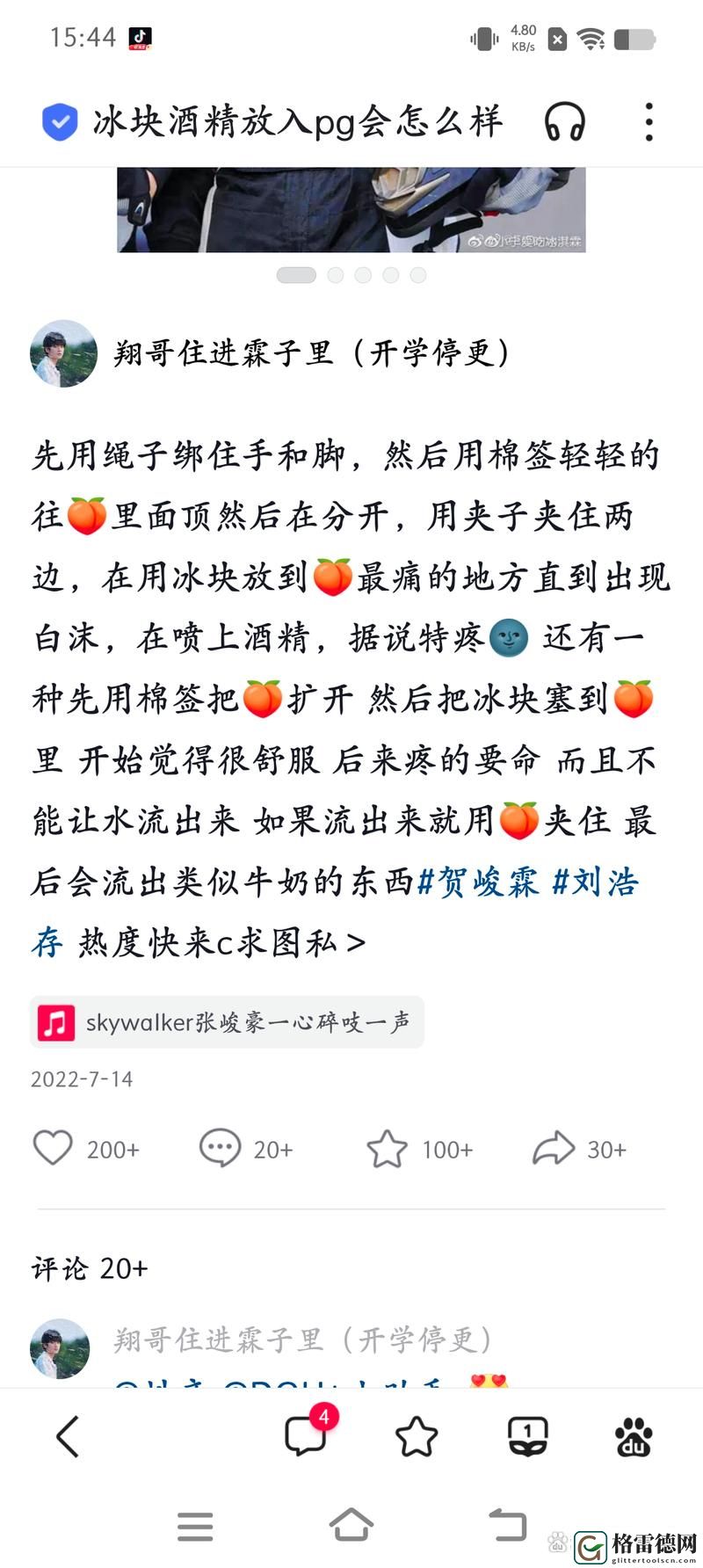 冰块放入小花园前面还是后面，哪个选择更为合适？