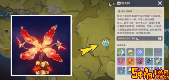 口袋新世代重置精灵有些找不到 口袋新世代boss所在地点 攻略助你快速定位