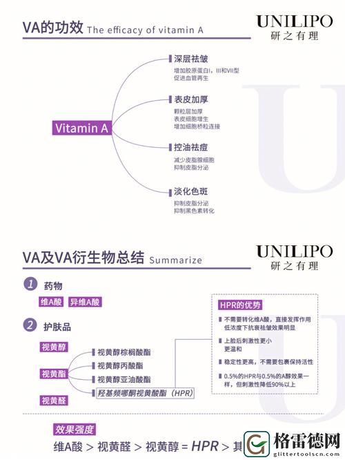  VA精华区二区的区别在哪里？解密两大区域的独特魅力
