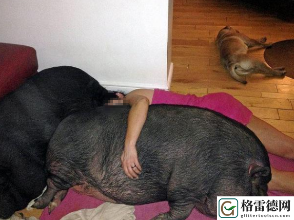  探索神秘生物——人猪又细又长像钻头一样图片背后的故事