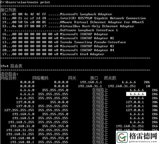  t66t最新IP地址2024：如何高效访问与应用指南