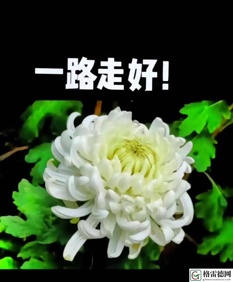 今夜也许母亲会在梦中陪伴你稳居榜首，网友：母亲的爱永恒如星辰