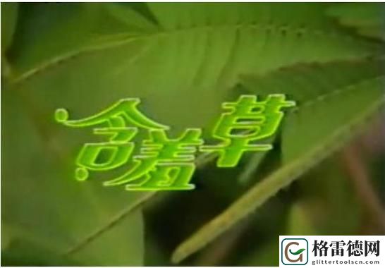  探索人性与爱的纠葛：含羞草免费观看电视剧的背景故事