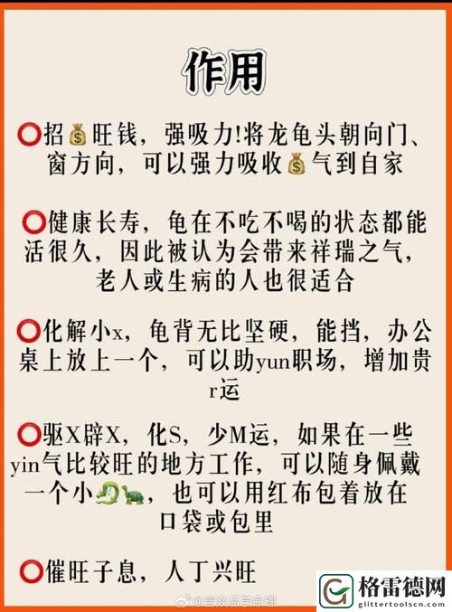  大BBBBBB老人的爱情与财运，网友直言：真是人生赢家！