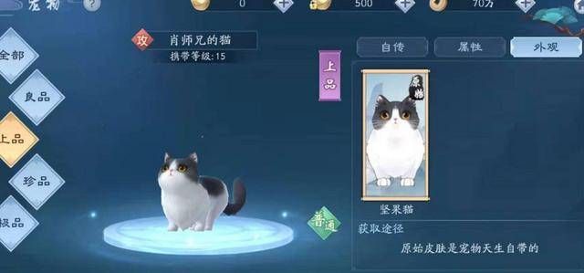 新笑傲江湖手游肖师兄的猫怎么获取 肖师兄的猫获取方法介绍