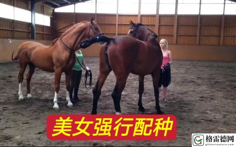  美国公马配女人，用户评论：