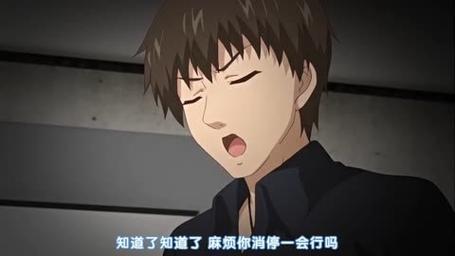 探索“叛逆的侄女动漫在线观看”背后的情感与成长
