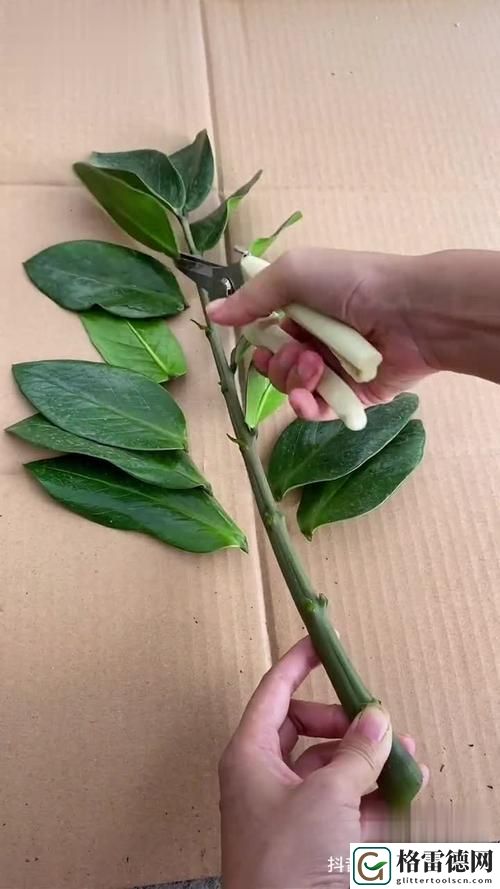  女性坐着扦插BB，用户评论：