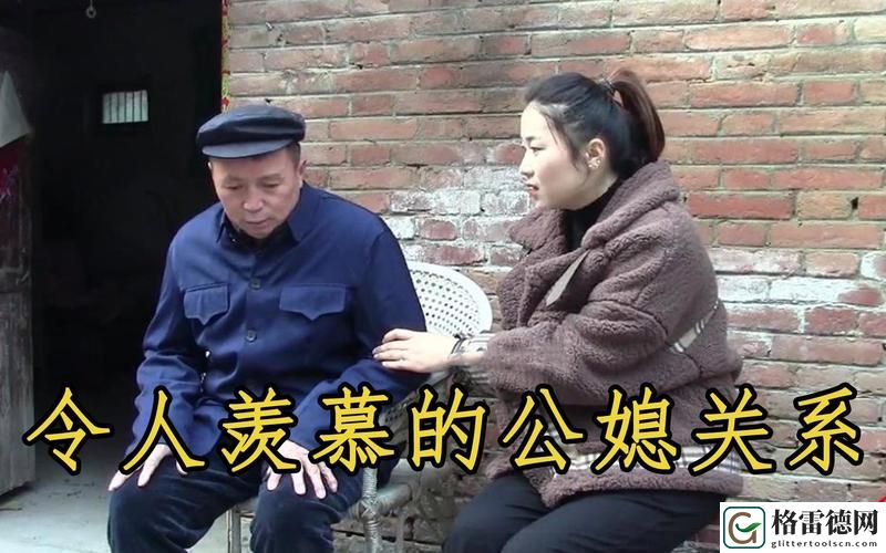 公与媳系列100集：家庭关系的独特视角