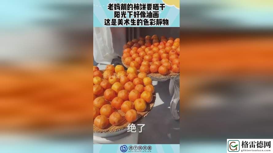  400多个成品视频：创造与分享的乐趣