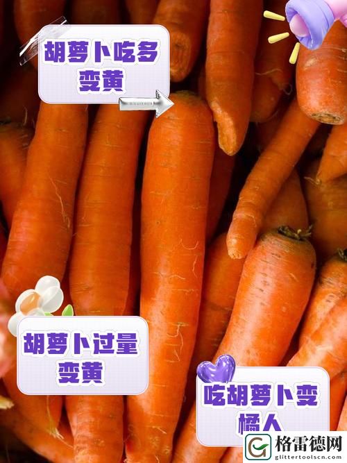  探讨“女的用胡萝卜用大头还是小头”的使用技巧
