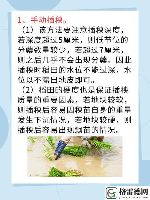  夫妻插秧38种方法图片大全揭秘，网友：这也太有创意了！