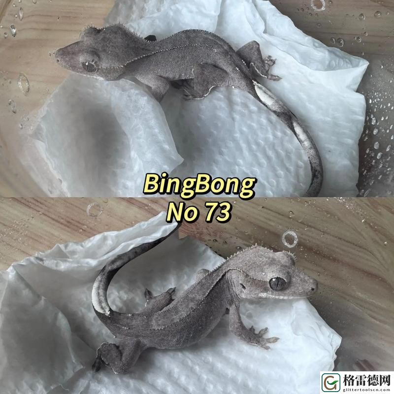  HWDHDHDXⅩXXX69是什么更新了，平台：游戏世界