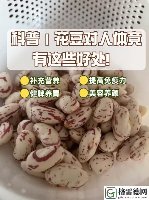 深入探讨：91豆花是国产还是进口？