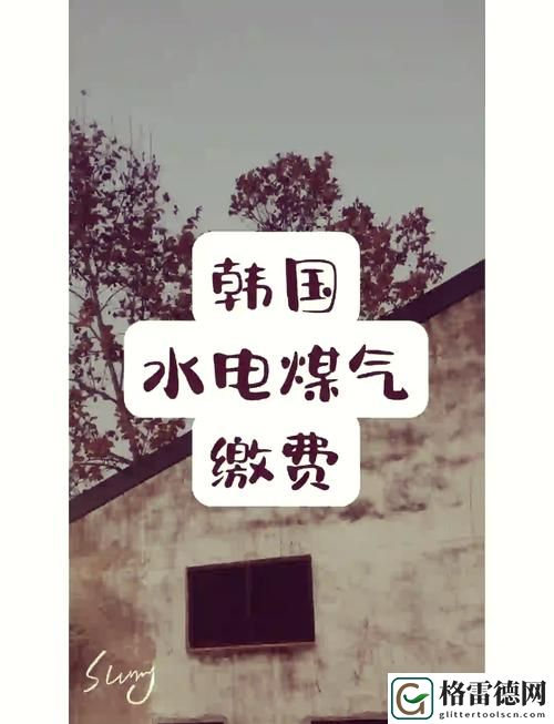  彩色生活：探秘好看的韩国三色电费