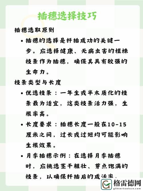 揭秘床上的72种扦插方法免费不花钱，让你轻松养花有成
