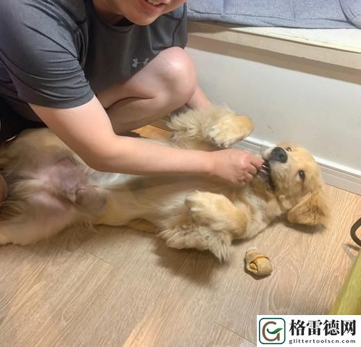 奇迹的爱情故事：和金毛做了四年都没事人新闻