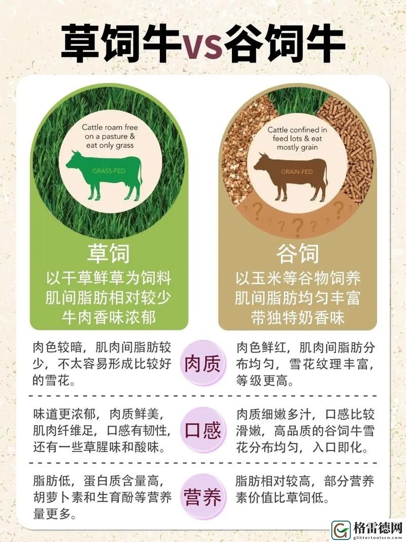 探讨老牛嫩草与精二的区别：年龄与经验的碰撞