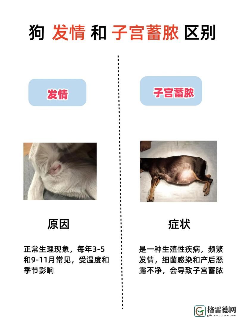 狗射精在人子宫里能活多久啊火爆上线，平台：宠物知识共享空间