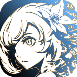 赛特斯2