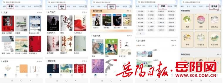  探索“年轻的岳阳免费阅读”：在文字中领略时代的韵味