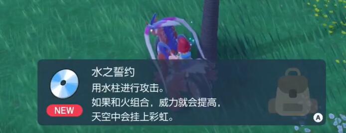 宝可梦朱紫水之誓约怎么获得 宝可梦朱紫水之誓约获得方法
