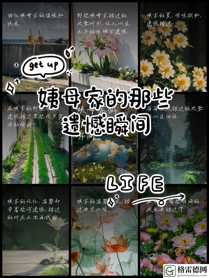 《在姨母家的客厅》上线，网友热议：在温暖与怀旧中找到共鸣