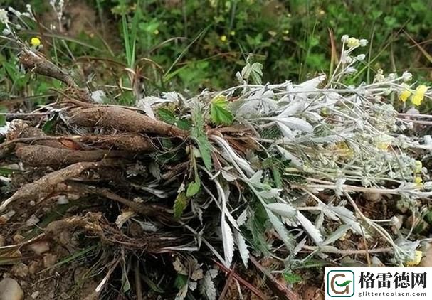 在房间里