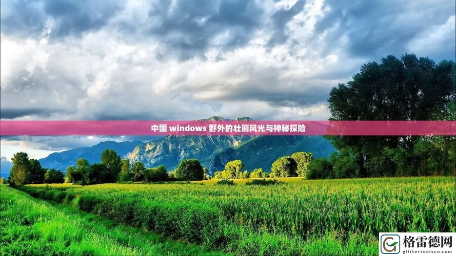 中国Windows野外开放，粉丝表示：对此感到无比期待