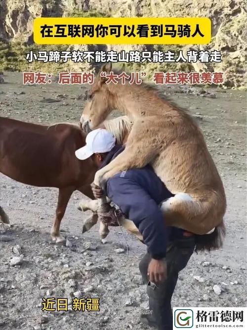  探索“Zoom动物人配人马”的独特魅力与意义